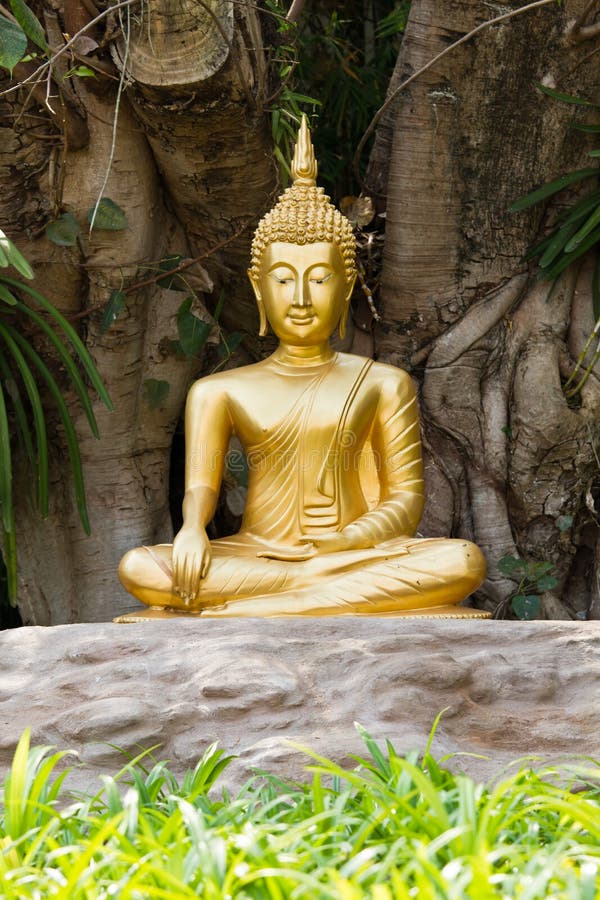 Meditation-Buddha-Statue. stockbild Meditation-Buddha-Statue. stockbild