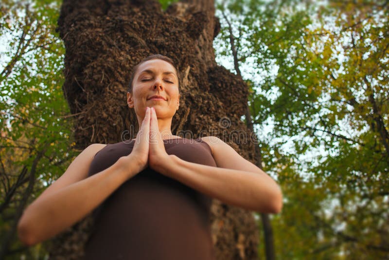 meditazione accanto all'albero