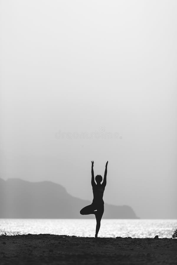 Meditação da ioga da mulher na silhueta da pose do vrksasana foto de stock Meditação da ioga da mulher na silhueta da pose do vrksasana foto de stock
