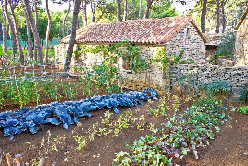 Mediterranean stone village garden vegetables view. Mediterranean stone village garden vegetables view