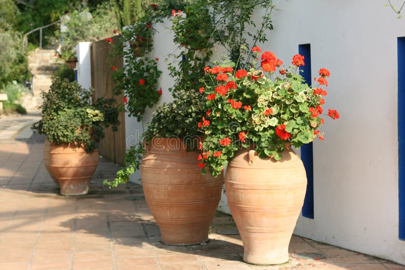 A mediterranean garden from the Eden project. A mediterranean garden from the Eden project