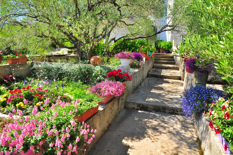 Colorful mediterranean garden and flowers in summer, Croatia. Colorful mediterranean garden and flowers in summer, Croatia.