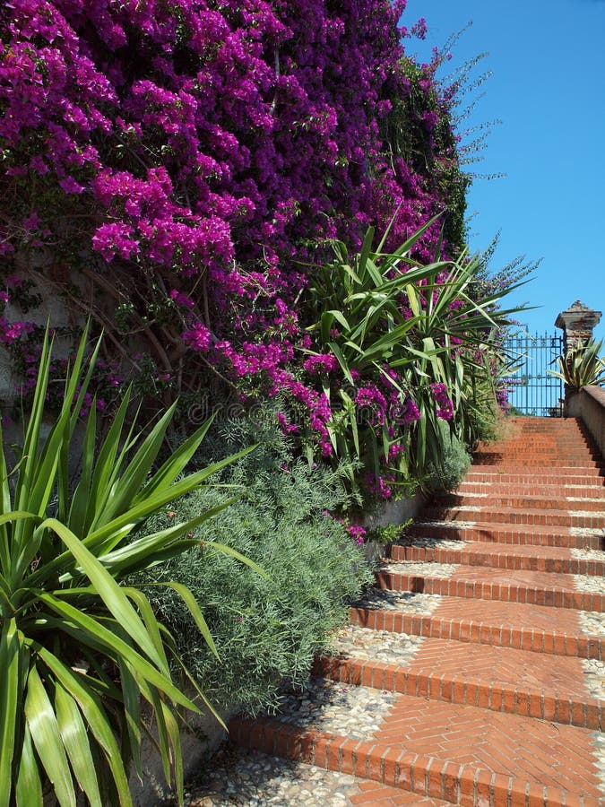 Mediterranean garden steps in italy. Mediterranean garden steps in italy