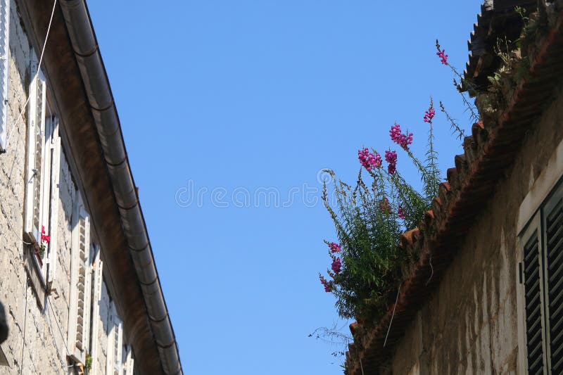 Mediterranean Architecture in Split, Croatia royalty free stock photography