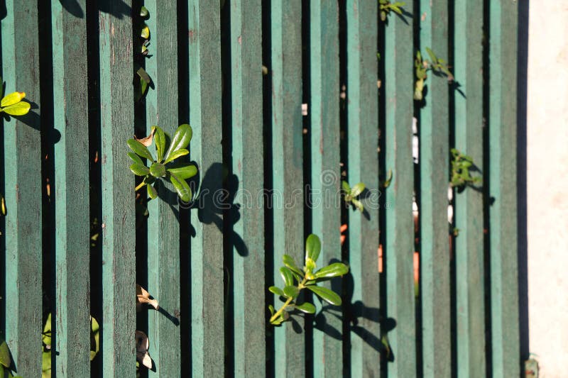 Mediterranean Architecture in Split, Croatia royalty free stock photo