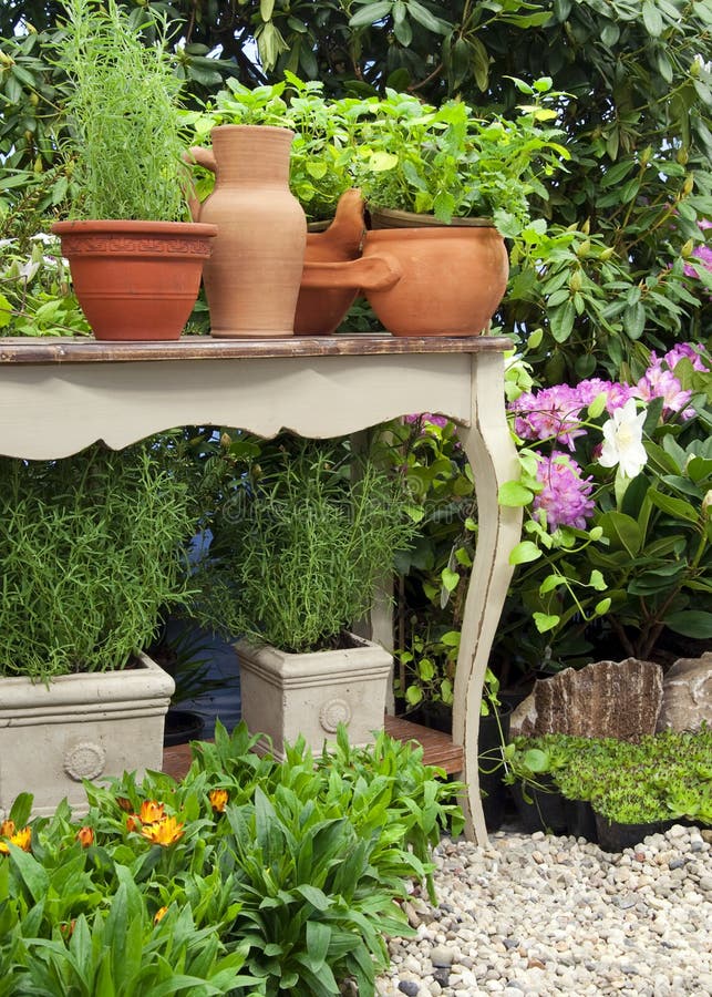 Mediterranean garden stock photo. Image of herbs, tabletop 19749510