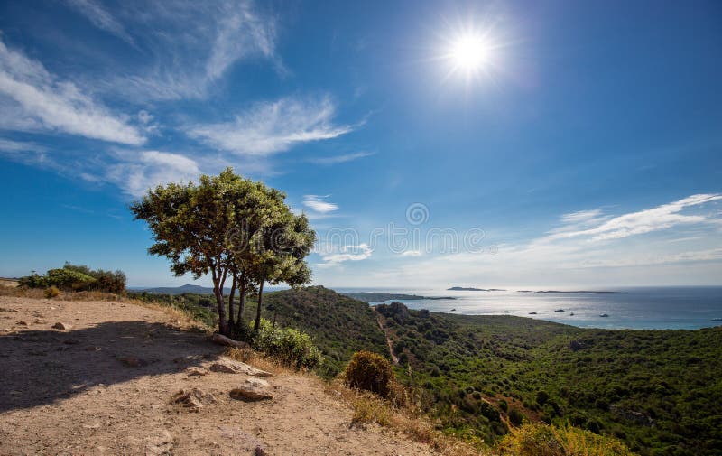 Mediterranean landscape with green vegetation and tree, sun, blue sky and calm sea and coast of Sicily - Italian region in south royalty free stock photography Mediterranean landscape with green vegetation and tree, sun, blue sky and calm sea and coast of Sicily - Italian region in south royalty free stock photography