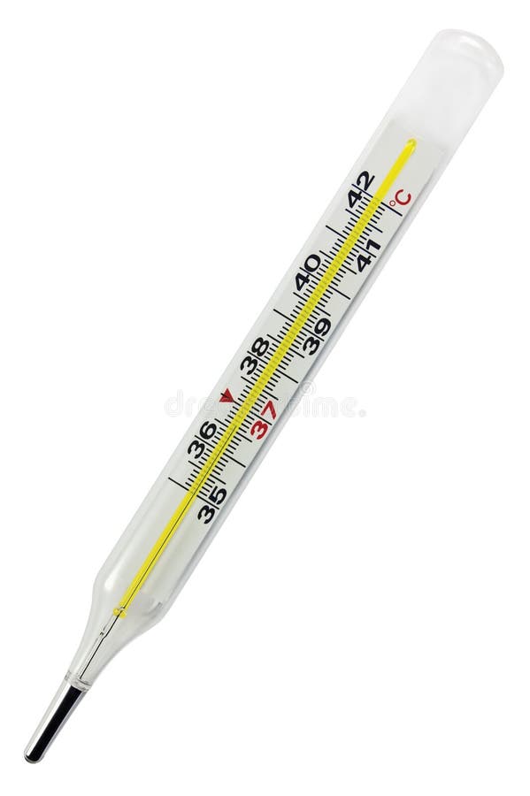 Thermometer, medical glass, Celsius centigrade fever scale, mercury hydrargyrum quicksilver hg isolated macro closeup, 36.6 degrees. Thermometer, medical glass, Celsius centigrade fever scale, mercury hydrargyrum quicksilver hg isolated macro closeup, 36.6 degrees