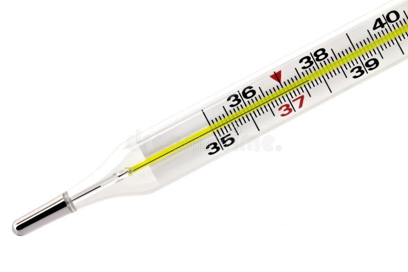 Medical thermometer on the white background. Medical thermometer on the white background