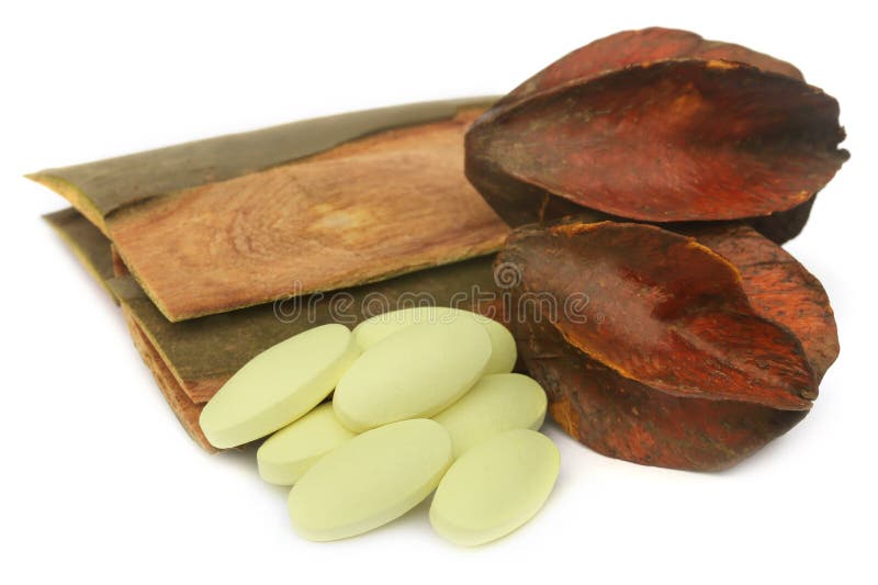 Medizinisches Terminalia-arjuna mit Pillen stockfoto Medizinisches Terminalia-arjuna mit Pillen stockfoto