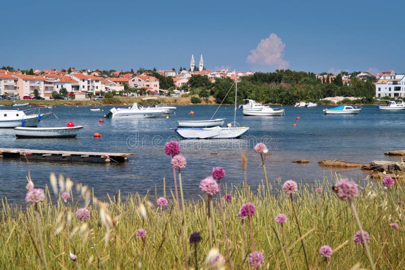 Medulină stock photo