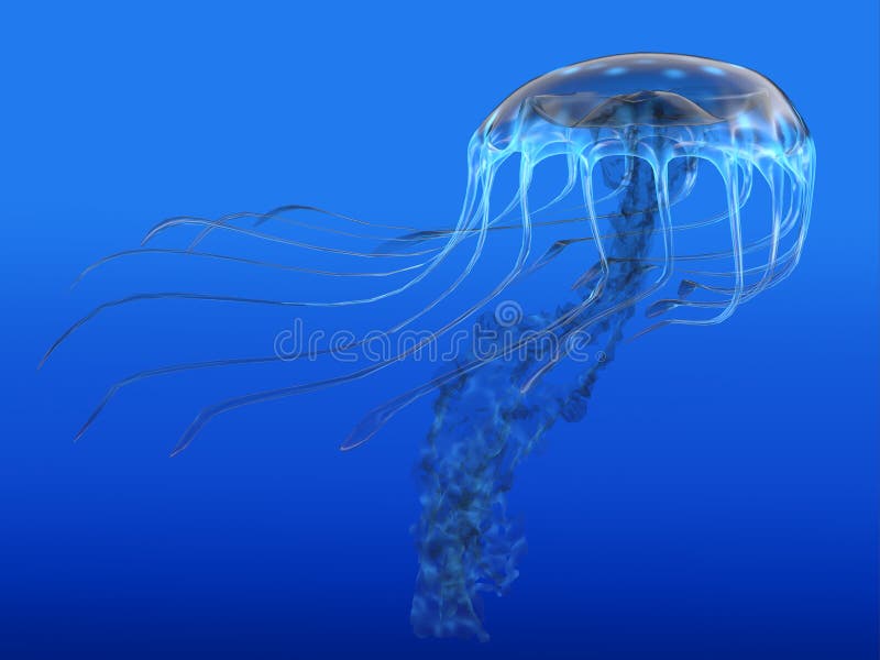 The jellyfish is a predator of the oceans and feeds on small fish and zooplankton. The jellyfish is a predator of the oceans and feeds on small fish and zooplankton.