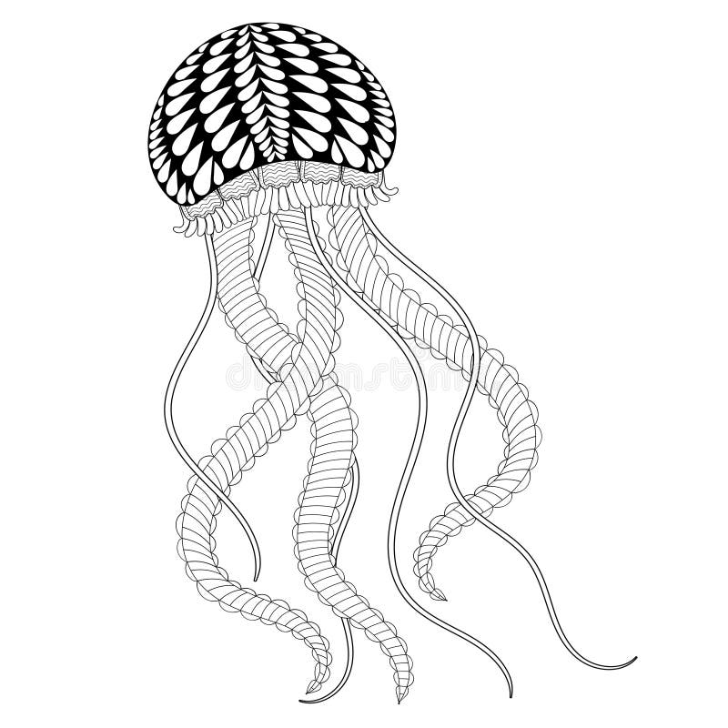 Meduse disegnate a mano del mare per le pagine adulte di coloritura nello scarabocchio, zen illustrazione vettoriale Meduse disegnate a mano del mare per le pagine adulte di coloritura nello scarabocchio, zen illustrazione vettoriale