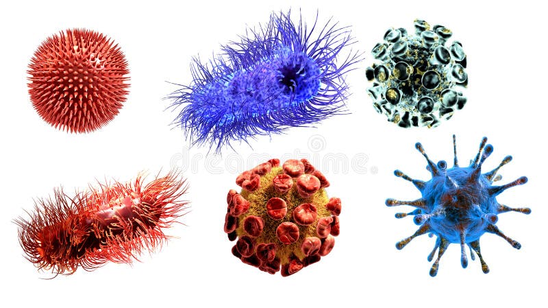 Medyczna ilustracja wirusy i bakterie odizolowywający na białym tle