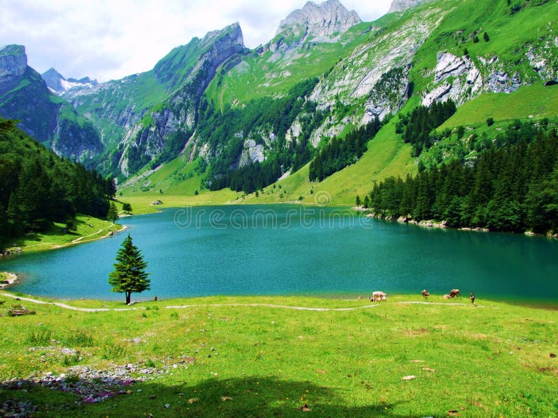 meer, berg, landschap, water, aard, bergen, hemel, bezinning, blauw, bos, de zomer, groene rivier, wolken, reis, mening, RT stock foto meer, berg, landschap, water, aard, bergen, hemel, bezinning, blauw, bos, de zomer, groene rivier, wolken, reis, mening, RT stock foto