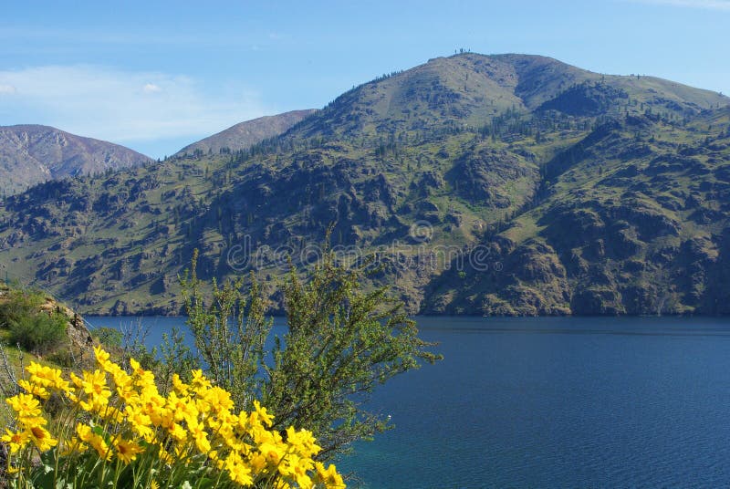 Meer Chelan, Washington royalty-vrije stock foto Meer Chelan, Washington royalty-vrije stock foto