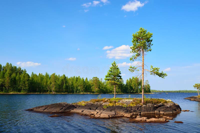 Meer Engozero. Noord-Karelië, Rusland stock fotografie Meer Engozero. Noord-Karelië, Rusland stock fotografie