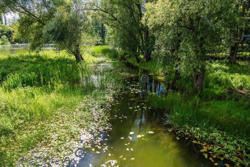 Meer in het Park royalty-vrije stock foto