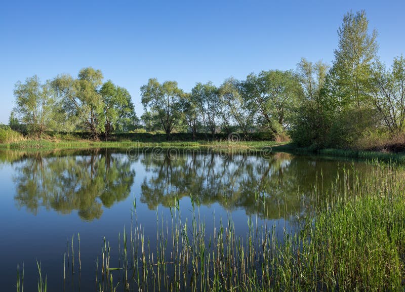 Meer in het platteland stock afbeeldingen