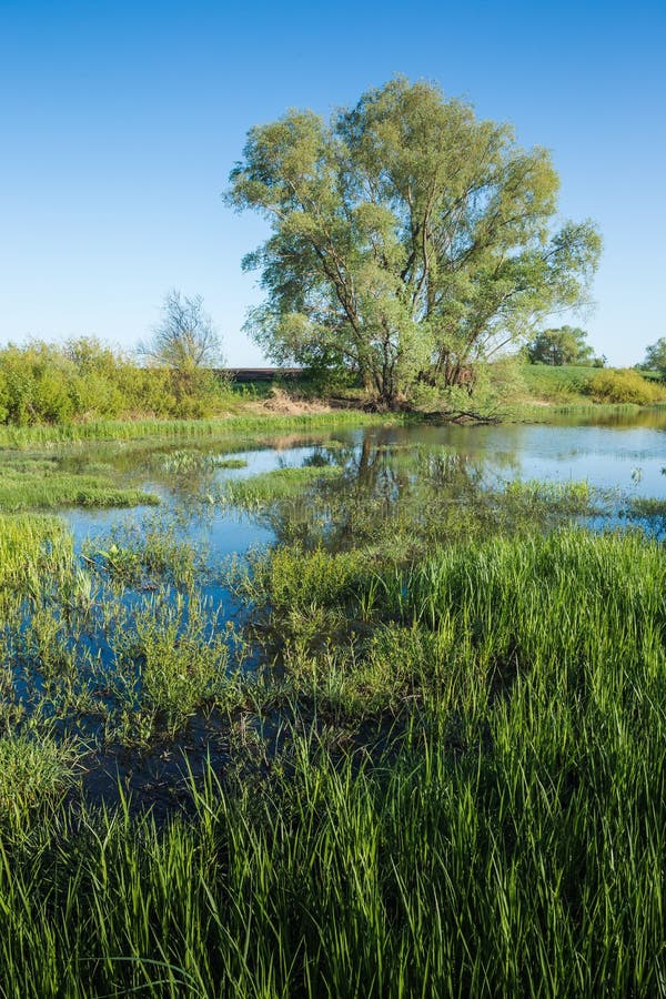 Meer in het platteland stock fotografie
