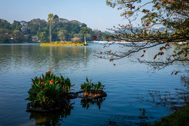 Meer in Kandy, Sri Lanka stock foto
