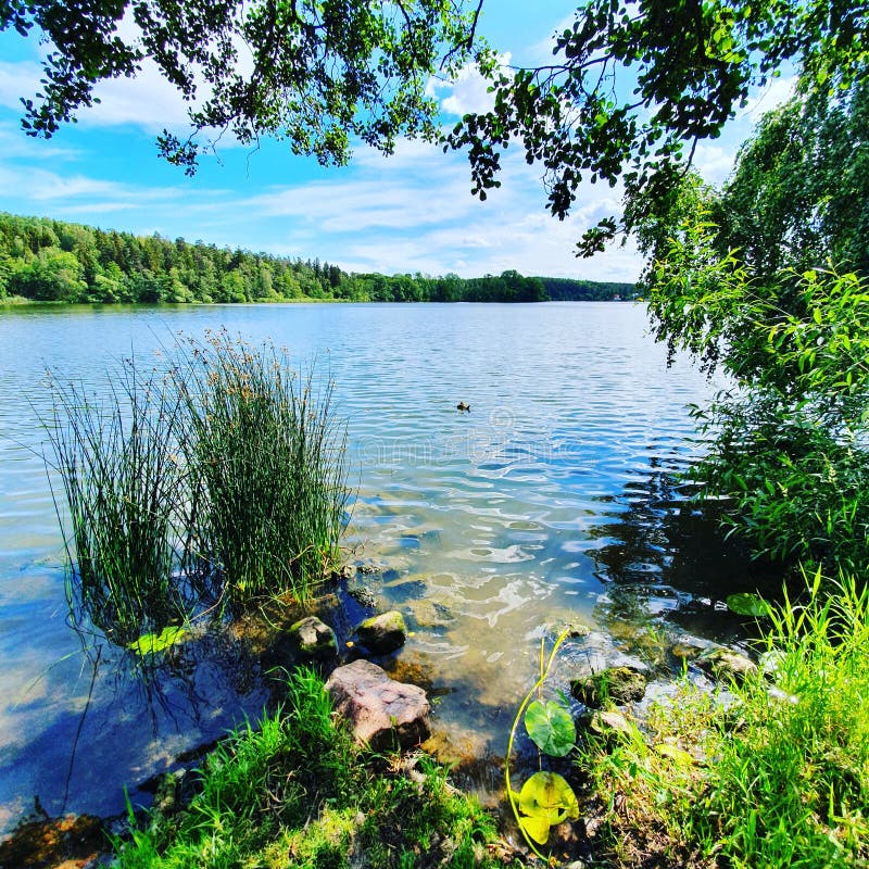 Meer in Zweden stock foto Meer in Zweden stock foto