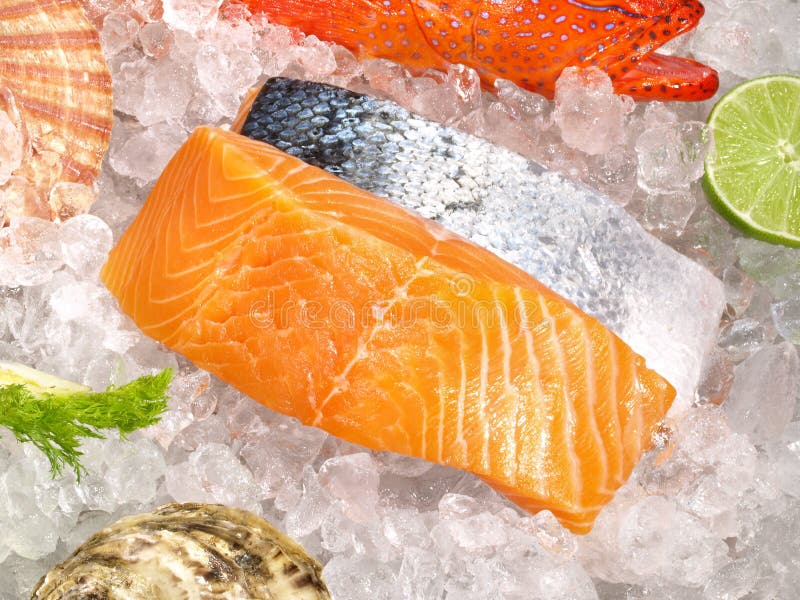 Meeresfr?chte und Fische auf Eis lizenzfreie stockfotos Meeresfr?chte und Fische auf Eis lizenzfreie stockfotos