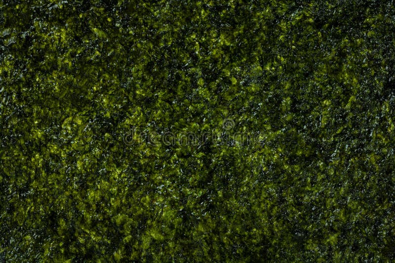 Meerespflanzenbeschaffenheitshintergrund mit gebratenem Imbiss Aperitif gemacht vom Kelp