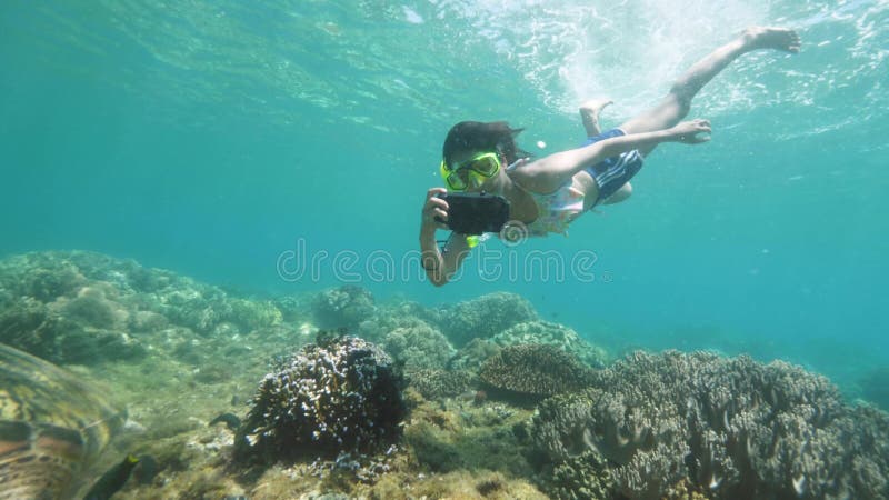 Meeresschildkröte auf Korallenriff und tropischem Fischgrund Unterwasser-Ansicht von Frauen, die Schildkröten und Fische in