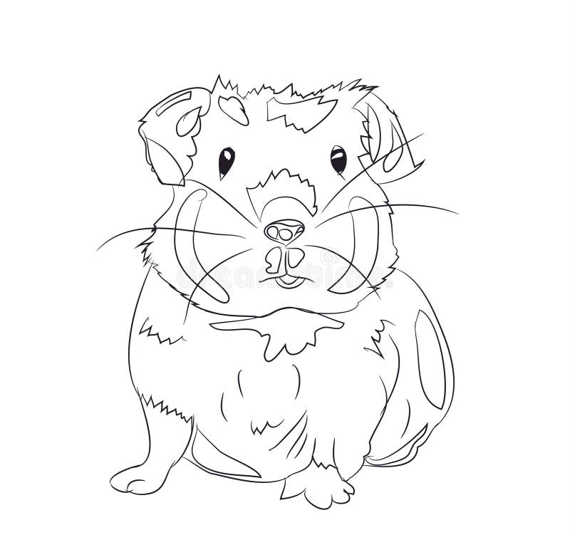 Meerschweinchen Stock Illustrationen, Vektoren, & Kliparts - 37,781