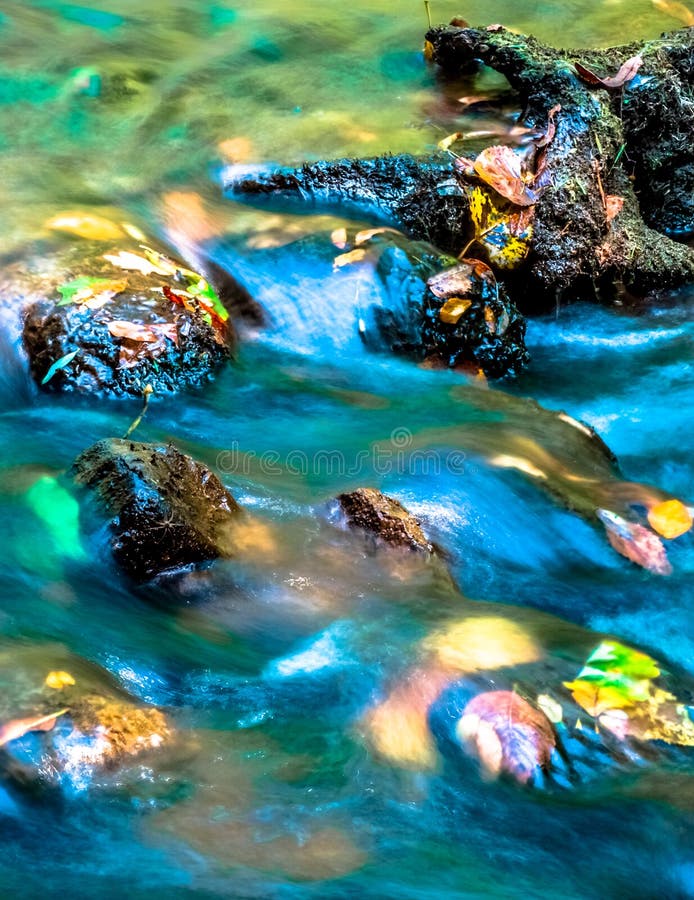 Rushing water over Autumn leaves in the Creek at the Paint Creek Trail, Rochester, Michigan. Rushing water over Autumn leaves in the Creek at the Paint Creek Trail, Rochester, Michigan