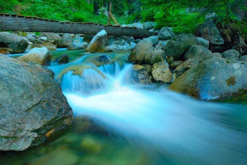 River Demjanica rushing through the forest in national park Pirin, Bulgaria. River Demjanica rushing through the forest in national park Pirin, Bulgaria