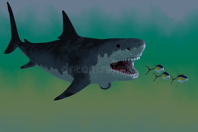 Megalodon Shark Attack stock photo. Image of giant, background - 31615902