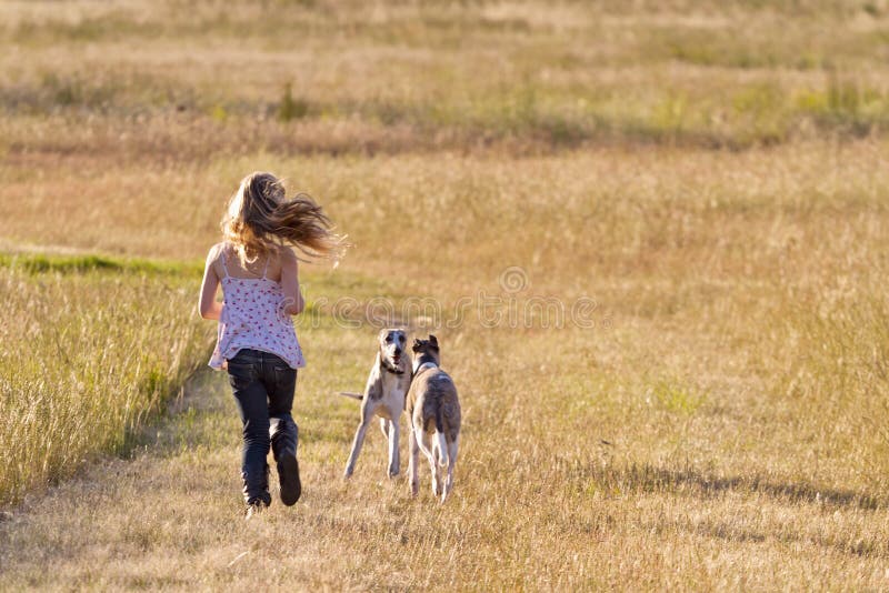 Meisje dat met honden loopt royalty-vrije stock foto's Meisje dat met honden loopt royalty-vrije stock foto's