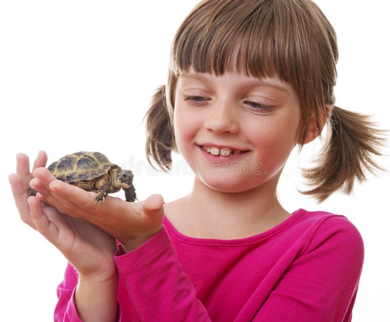 Happly little girl holding a pet turtle. Happly little girl holding a pet turtle