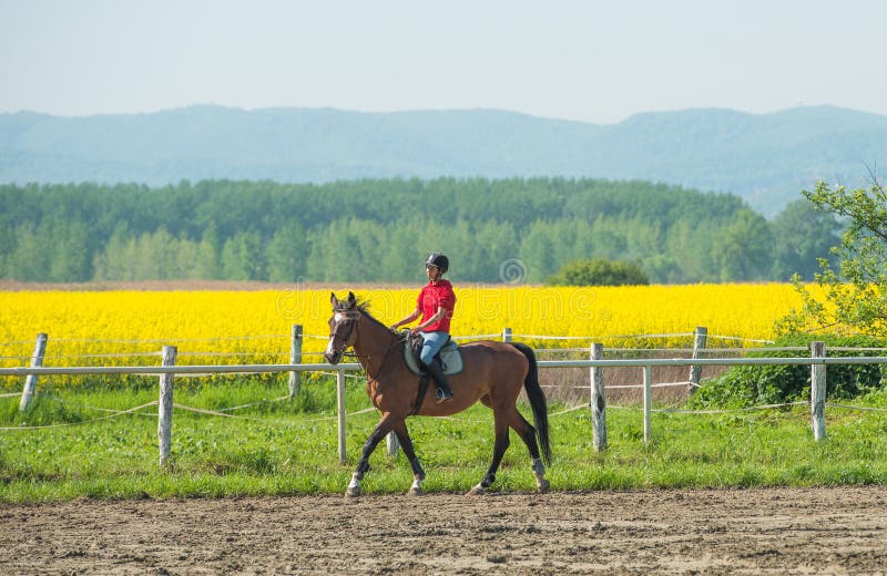 Meisje die een paard berijden stock foto Meisje die een paard berijden stock foto