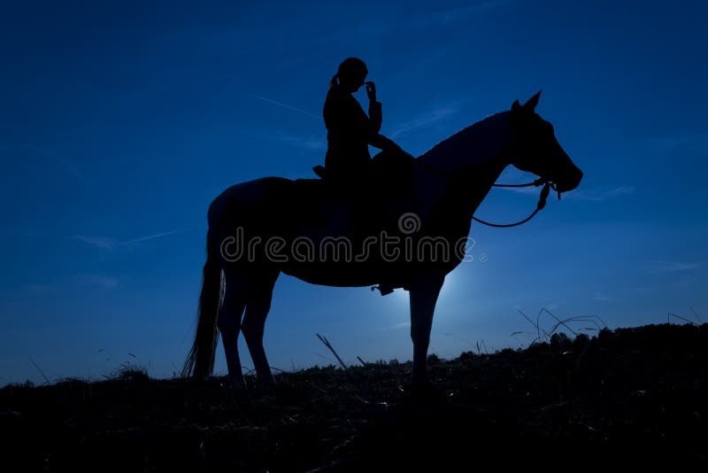 Meisje die haar neus, paard bij zonsondergang in blauw krassen stock afbeeldingen Meisje die haar neus, paard bij zonsondergang in blauw krassen stock afbeeldingen