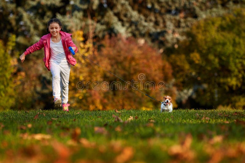 Meisje in een park met een terriër die van Russell van de puppyhefboom in werking wordt gesteld stock fotografie Meisje in een park met een terriër die van Russell van de puppyhefboom in werking wordt gesteld stock fotografie