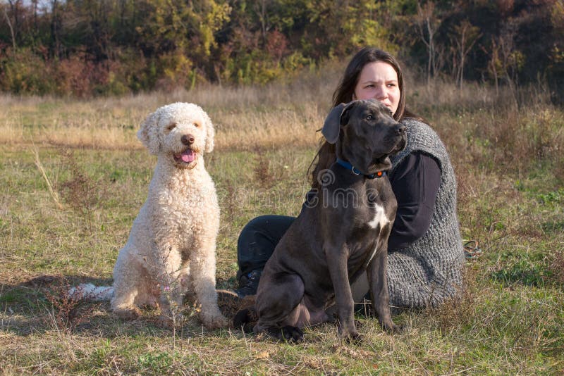 Meisje en haar honden royalty-vrije stock afbeelding Meisje en haar honden royalty-vrije stock afbeelding