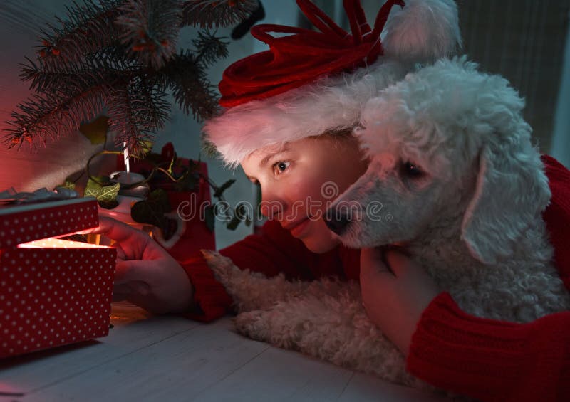 Little girl and her dog opening a Christmas present. Little girl and her dog opening a Christmas present