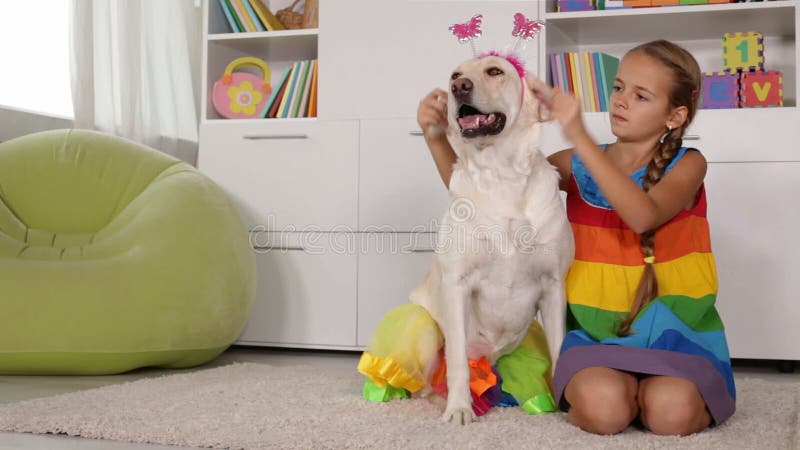 Meisje het spelen met hond die - zich omhoog kleden