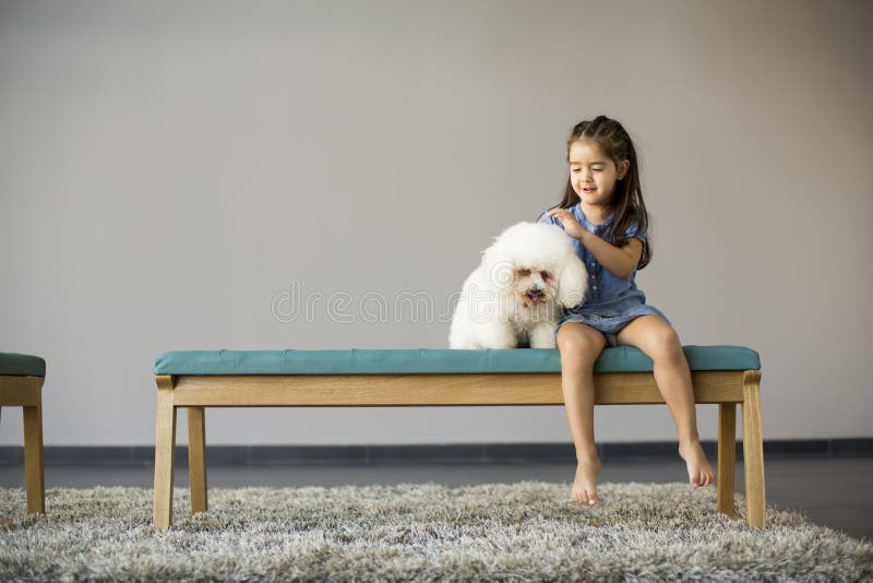 Meisje speelt met een witte poedel stock afbeelding