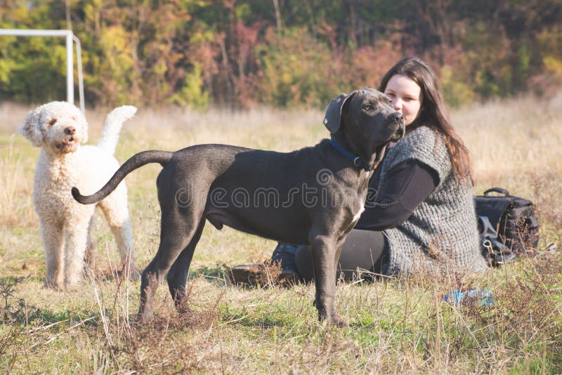Meisje met haar honden stock fotografie Meisje met haar honden stock fotografie