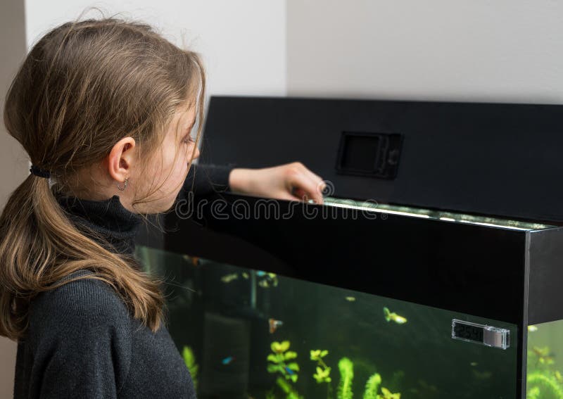 Meisje voedende vissen royalty-vrije stock afbeeldingen Meisje voedende vissen royalty-vrije stock afbeeldingen