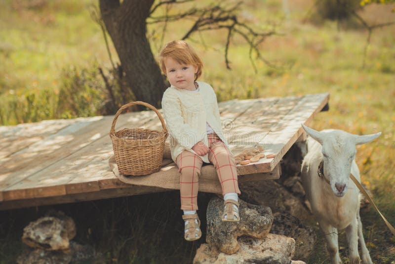 Meisjes keurig modieus gekleed in sweater met blonde haar het besteden tijd in dorp met mandhoogtepunt van appelen die dierlijke stock afbeelding Meisjes keurig modieus gekleed in sweater met blonde haar het besteden tijd in dorp met mandhoogtepunt van appelen die dierlijke stock afbeelding