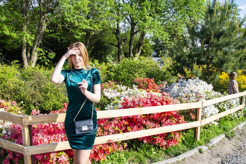 Meisjesblonde op een achtergrond van bloemen in het park stock afbeeldingen Meisjesblonde op een achtergrond van bloemen in het park stock afbeeldingen