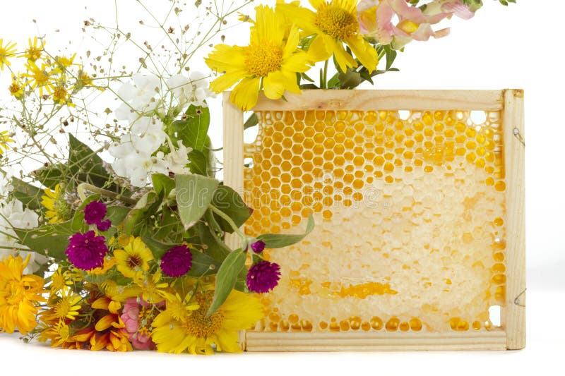 Honeycomb with natural honey in a wooden framework. Honeycomb with natural honey in a wooden framework