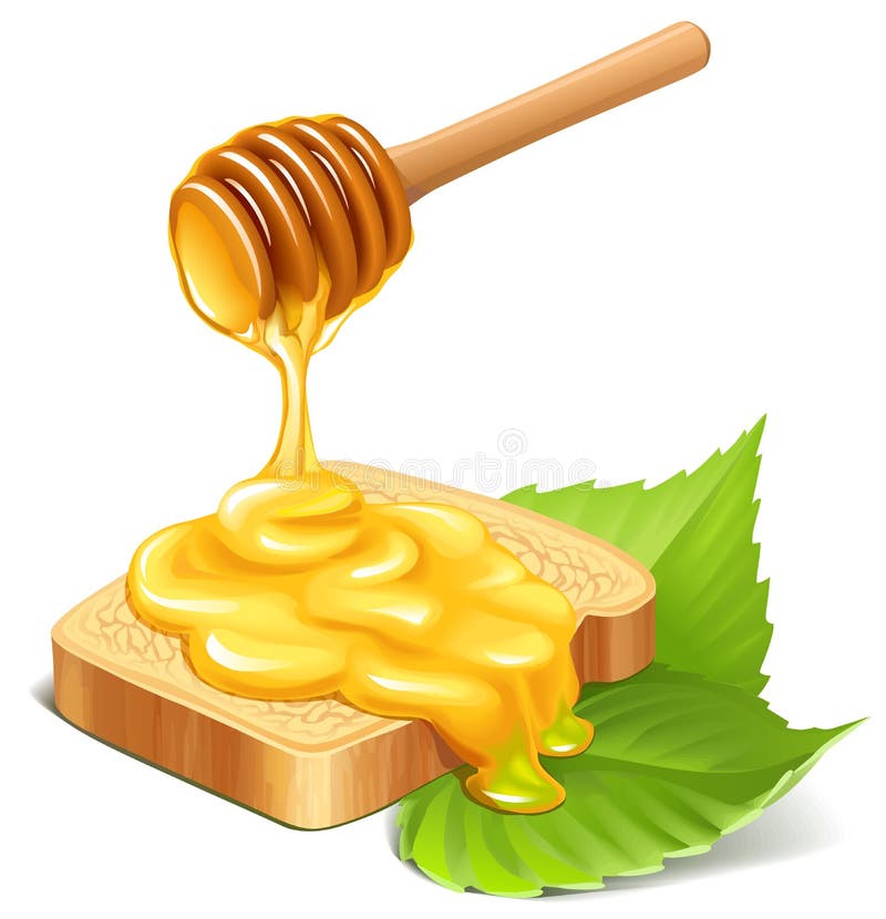 Mel ilustração royalty free