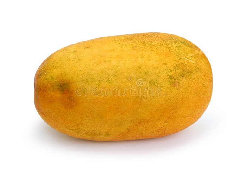 Mel?n del cantalupo aislado en el fondo blanco imágenes de archivo libres de regalías Mel?n del cantalupo aislado en el fondo blanco imágenes de archivo libres de regalías