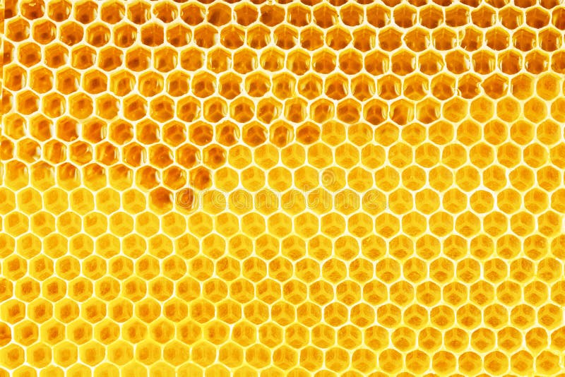 Natural bee honey in honeycomb background. Natural bee honey in honeycomb background